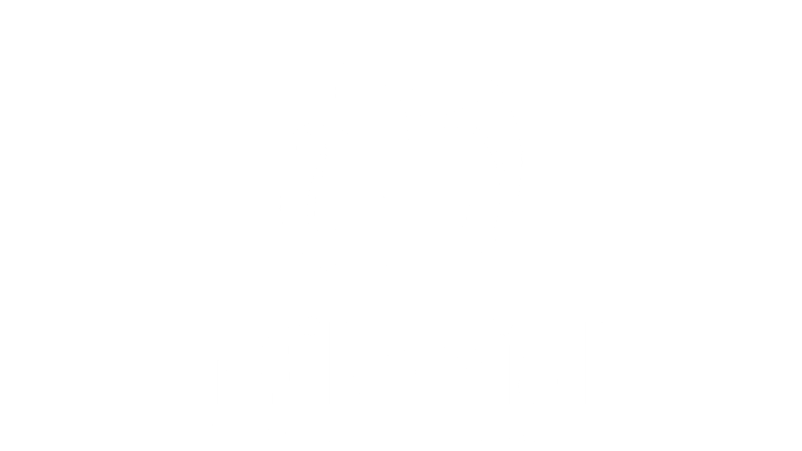 MILENIAL CHARCOAL BRIQUETES-10